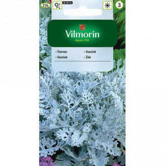 Starzec popielny (Mrozy) Vilmorin interface.image 1