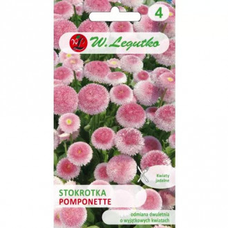 Stokrotka Pomponette rozowa interface.image 6