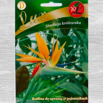 Streliția, Pasărea paradisului imagine 2