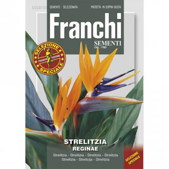 Streliția imagine 4