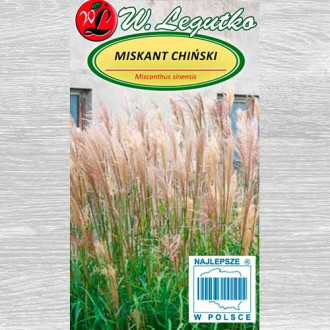 Stuf chinezesc (Iarba elefantului) Legutko imagine 2