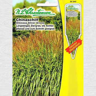 Stuf chinezesc (Iarba elefantului) imagine 2