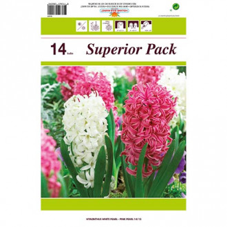 Super oferta! Hiacynt Pearl, zestaw 14 cebul interface.image 18
