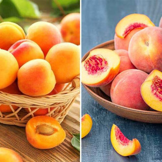 Супер оферта! Комплект плодови консерви, 2 сорта изображение 4