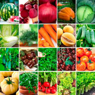 Super ofertă! Mega pack de 20 de soiuri de seminţe imagine 4