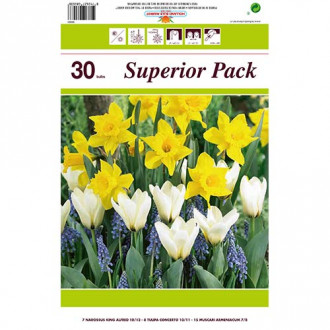 Super oferta! Narcyz, Tulipan, Szafirek armeński, zestaw 30 cebul interface.image 12