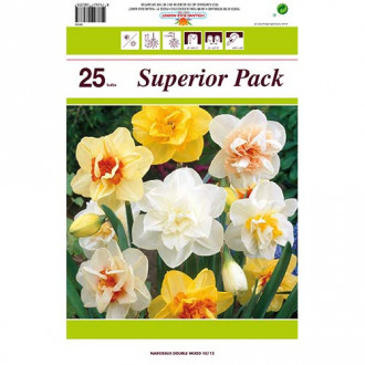 Super oferta! Narcyz pełny mix kolorów, zestaw 25 cebul interface.image 16