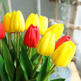 Super oferta! Tulipan Darwina, zestaw 25 cebul interface.image 7