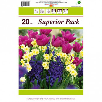 Super oferta! Tulipan Passionale, Narcyz Minnow, Hiacynt Marie, zestaw 20 cebul interface.image 7