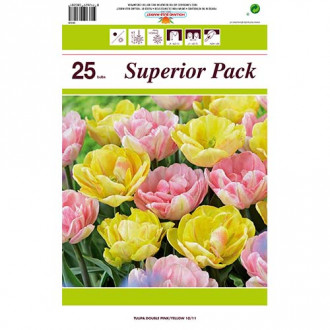 Super oferta! Tulipan, zestaw 2 odmian interface.image 14