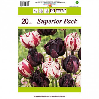 Super oferta! Tulipan pełny Magic Color, zestaw 2 odmian interface.image 9