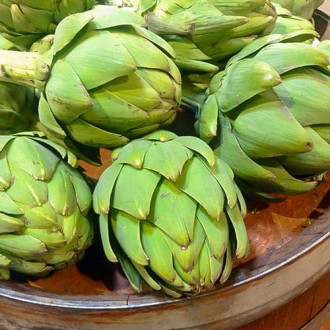 Супер предложение! Ерика, комплект от 2 разновидности изображение 3