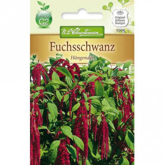 Szarlat (Amaranthus) czerwony interface.image 1