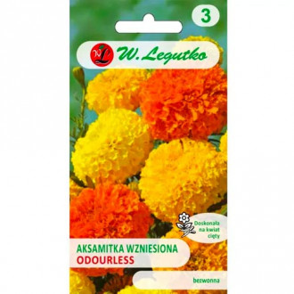 Тагетес без мирис, смес Legutko изображение 17