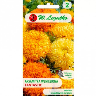 Тагетес Fantastic, смес Legutko изображение 7