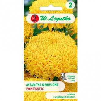 Тагетес Fantastic жълт Legutko изображение 14