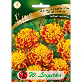 Тагетес Giant Bicolour изображение 8