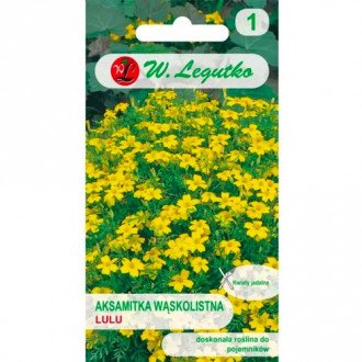 Тагетес Lulu Legutko изображение 4