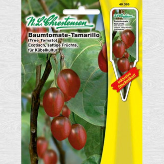 Tamarillo imagine 1