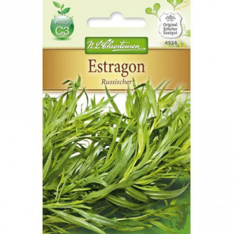 Tarhon rusesc imagine 15