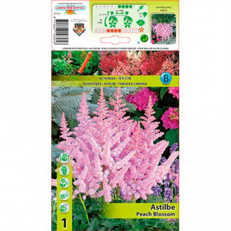Tawułka Peach Blossom interface.image 7