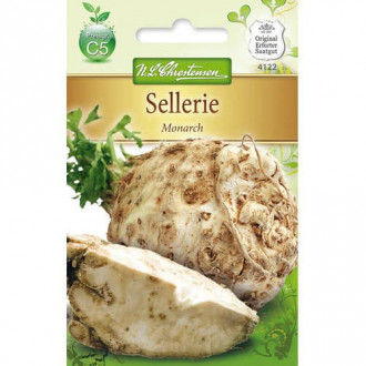 Țelină de rădăcină Monarch imagine 6