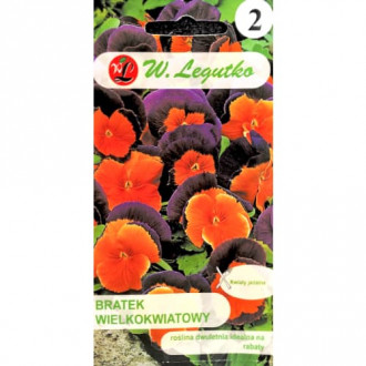 Теменуга едра Orange Violet Legutko изображение 8