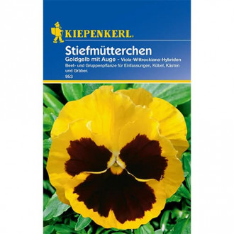 Теменужка Golden Yellow eyed Kiepenkerl изображение 10