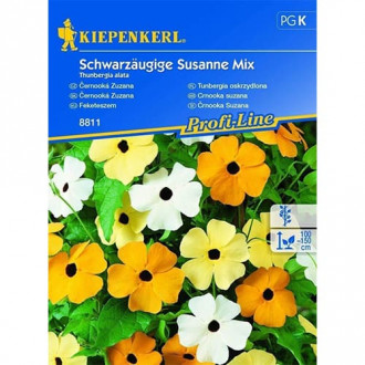 Thunbergia Susanne, mix multicolor imagine 7