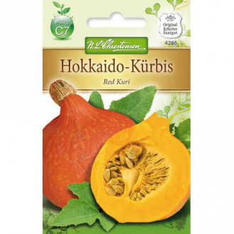 Тиква Red Kuri изображение 15