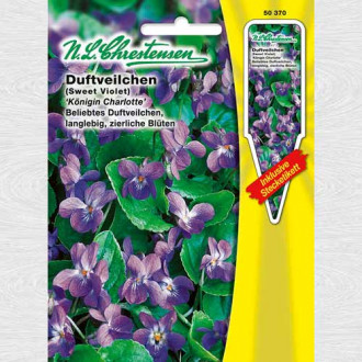 Toporași Queen Charlotte imagine 1