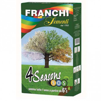 Trawa gazonowa na trawnik 4 Seasons Morami interface.image 2