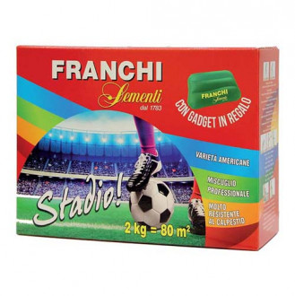 Тревна трева за моравата Stadio изображение 10