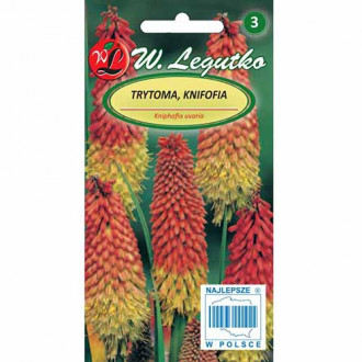 Crin făclie (Kniphofia) bicolor imagine 1