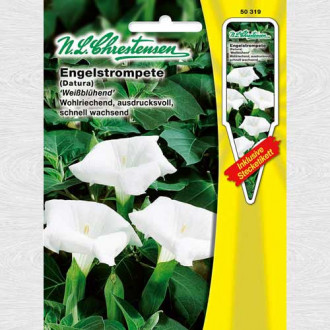 Trompeta îngerilor albă (Chrestensen) imagine 16