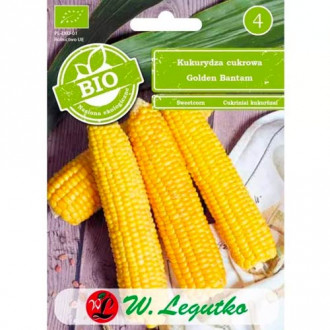 Царевица сладка Golden Bantam Legutko изображение 9