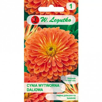 Циния Eldorado Legutko изображение 10