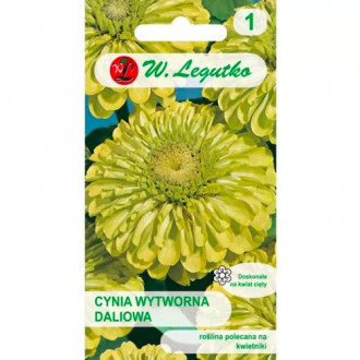 Циния Envy Legutko изображение 11