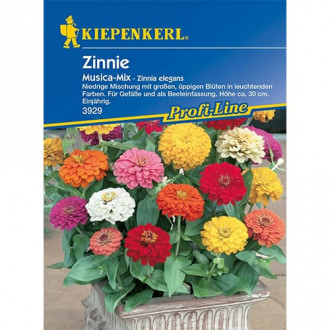 Циния Musica, смес изображение 13