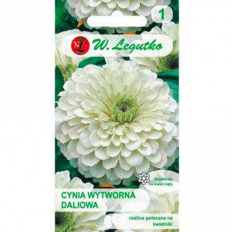 Циния Polar Bear Legutko изображение 17