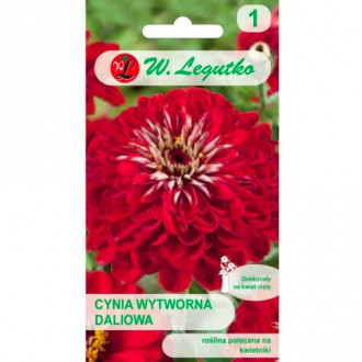 Циния Scarlet Flame Legutko изображение 11