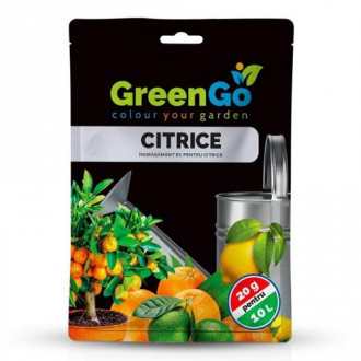 Цитрусов тор GreenGo Citrice изображение 6