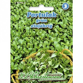 Тученица Chrestensen изображение 3