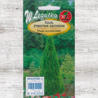 Tuia occidentalis Legutko imagine 18