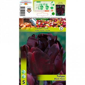 Lalele Black Hero imagine 17