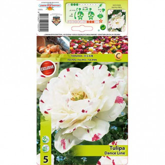 Lalele Dance Line imagine 1