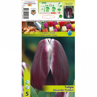 Tulipan Triumph Alexander Pushkin interface.image 11
