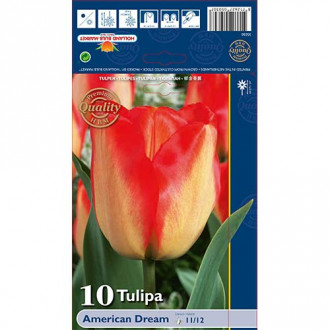 Tulipan Darwina American Dream interface.image 11