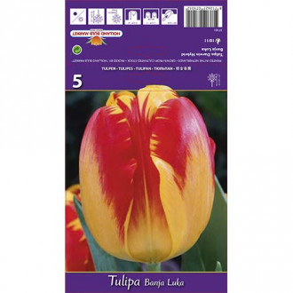 Tulipan Darwina Banja Luka interface.image 10