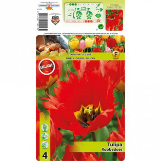Tulipan Darwina Robbedoes interface.image 15